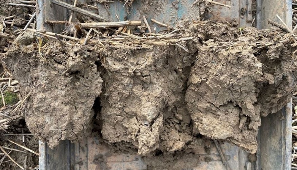Soil samples used to assess structural condition